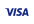 Visa Card Icon